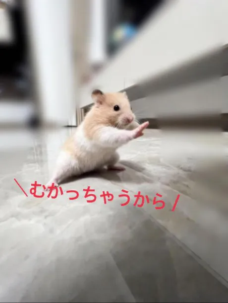 みずほ　奥様SUTEKIな奥様は好きですか？