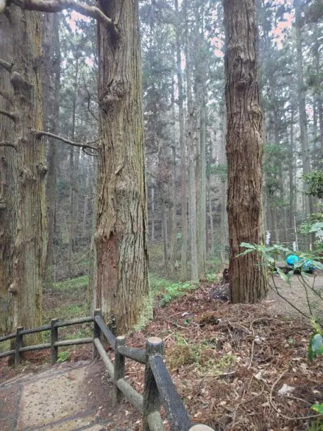 ルイのブログ 癒されます⤴️