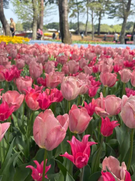 参上∠(　˙-˙ )／/むぎ