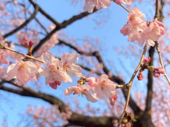 えれなすごいエステ　仙台店