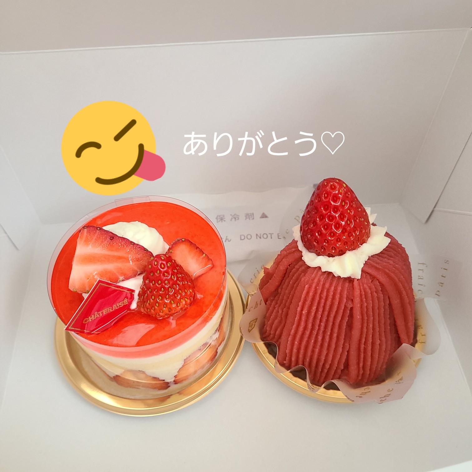 透(トウル)美乃華