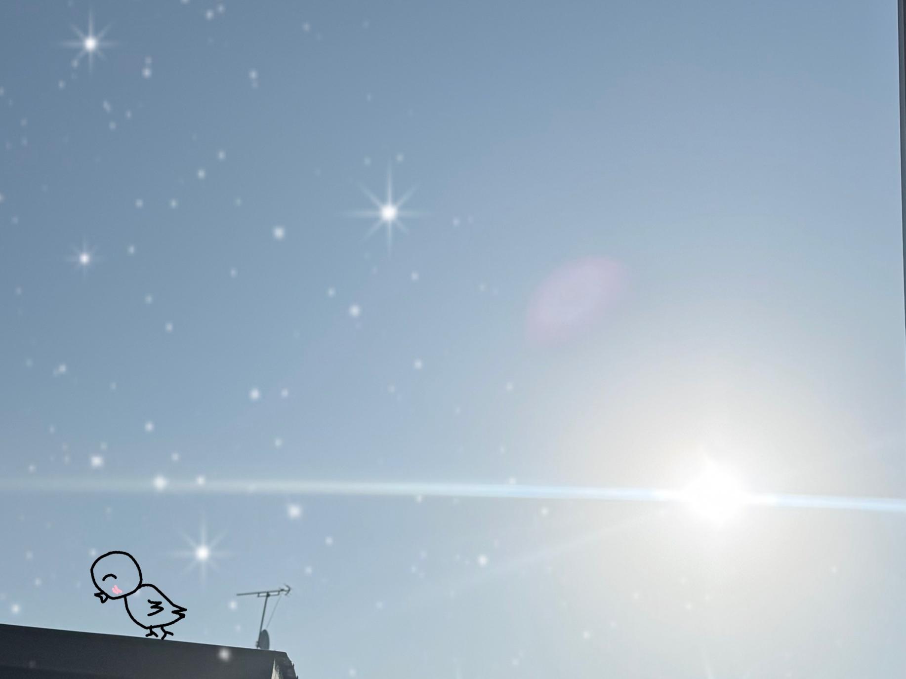 ももこです(^з^)出勤中