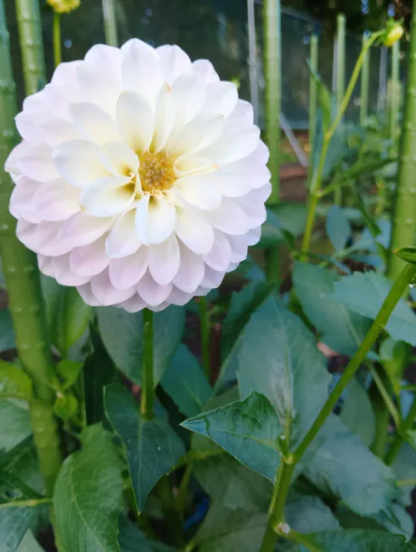長く・・・