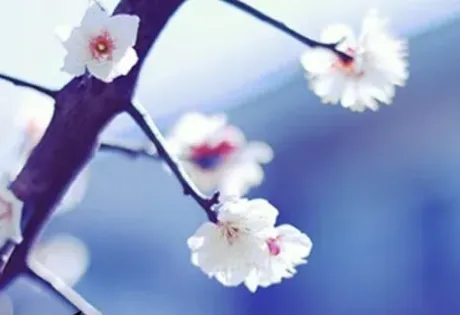 遅れましたが/【人妻コース】ちさと