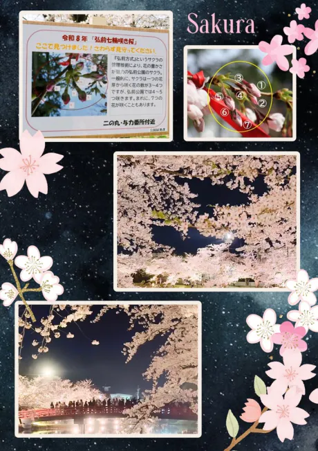 まいさん[青森]1日弘前MIMOSA