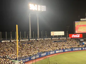 きょうか 奥様のブログ お久しぶり