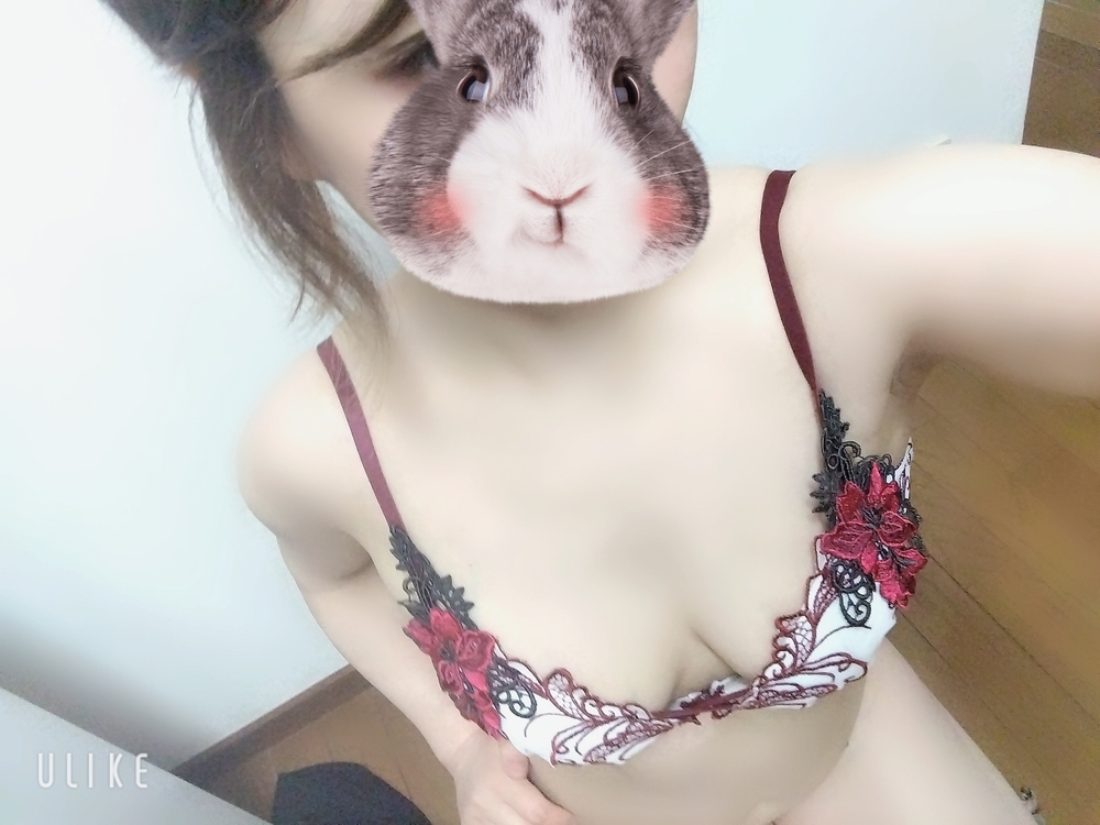 テキーラサンライズ 🌄