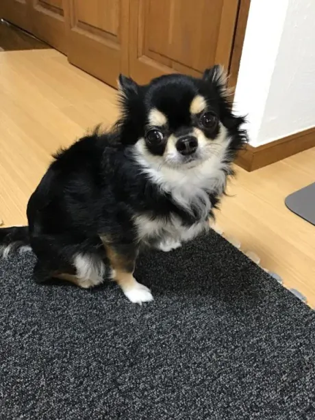 のぞみ★アナル調教師のブログ 逆ギレ