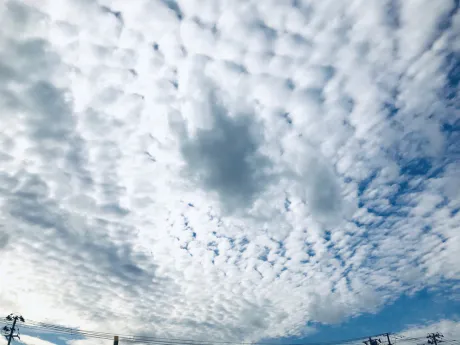 お知らせ /さやか