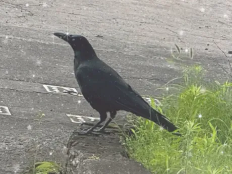 ももこです(^з^)三連休ご予約お待ちしています/ももこ