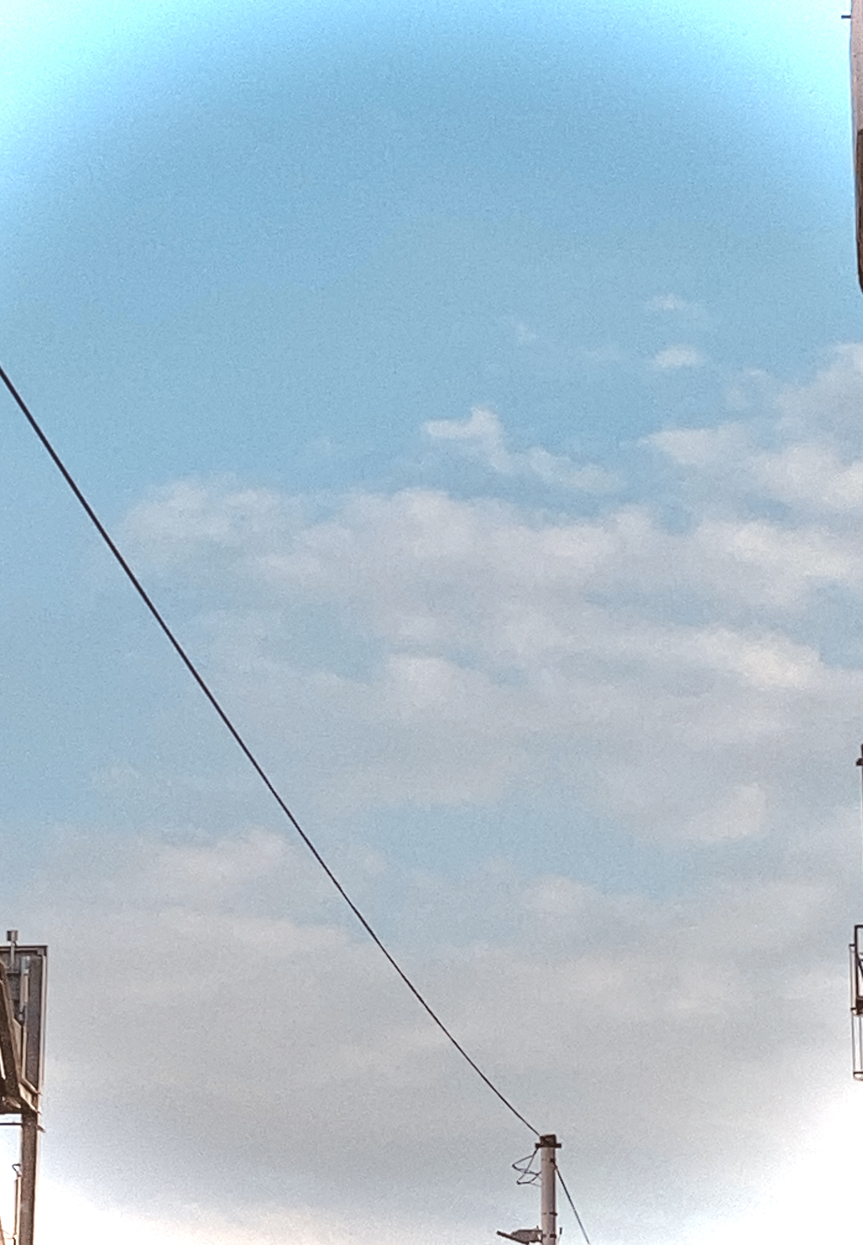7月6日