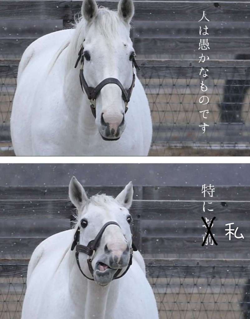 私の記憶は基本ガバガバな話