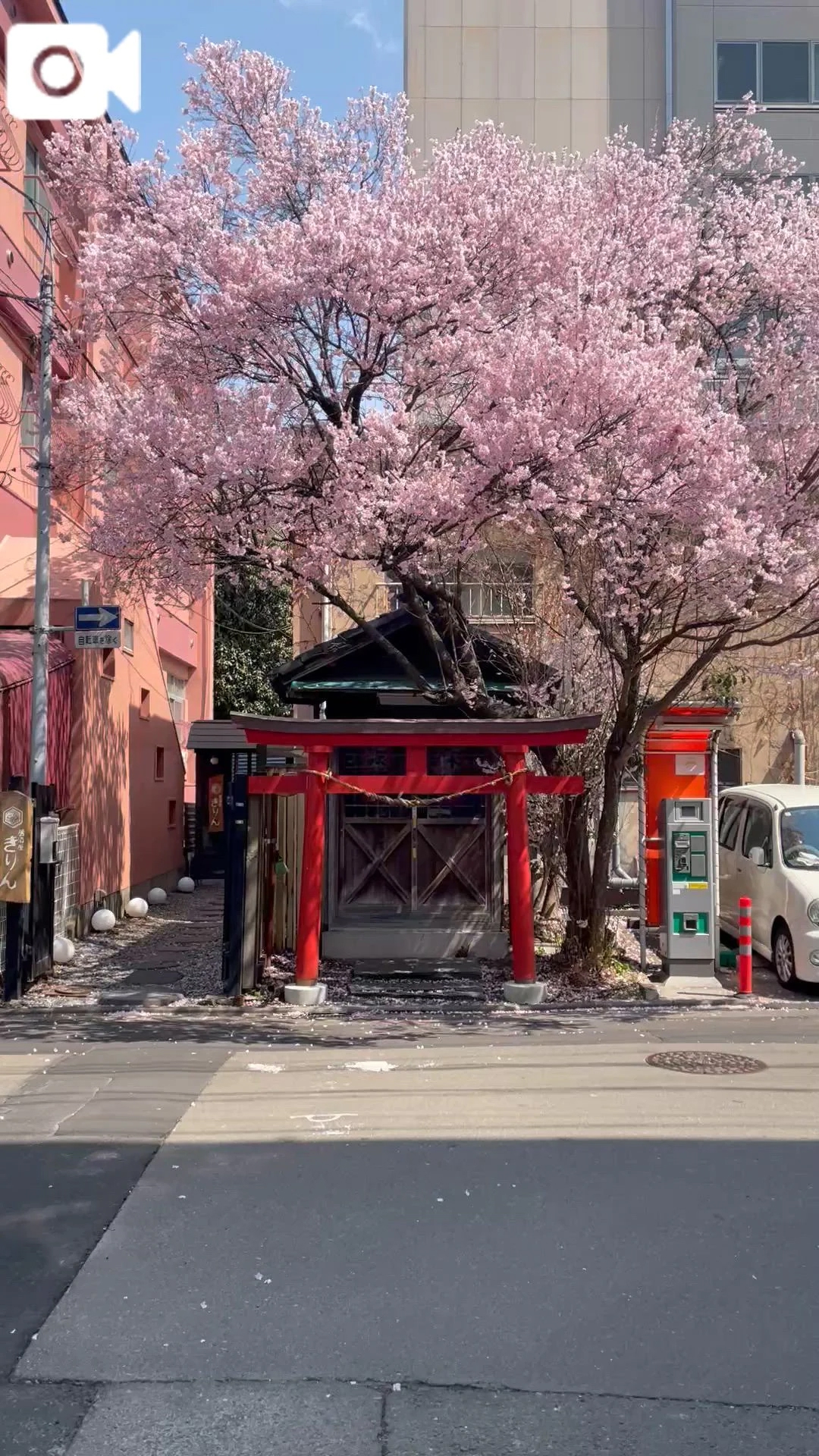 本日もよろしくお願いします🫧