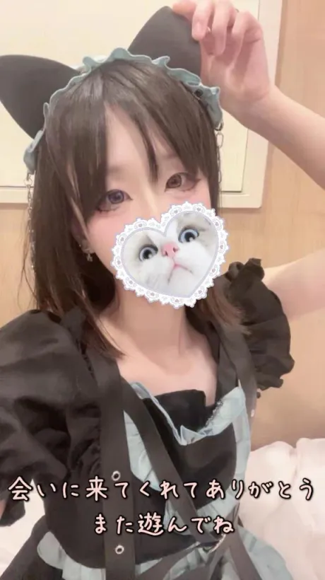 かまって欲しいにゃ🐱💕/ぱむ