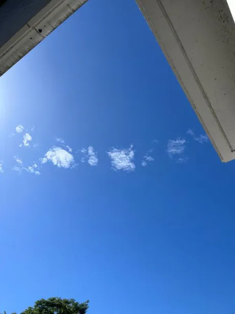 今週は、土曜日までお休みです