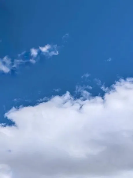 出勤しました/タエ