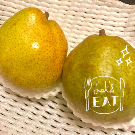 連休 /さやか