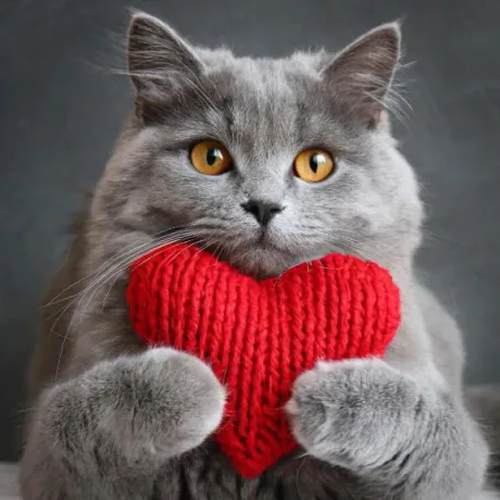 ゆり即プレイ専門店　性の極み