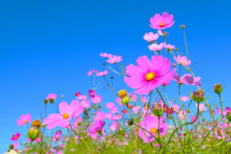 日曜日。。。/ことみ