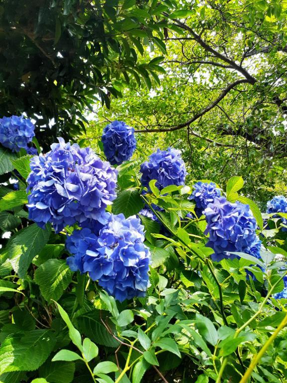 7/7(月)と7/8(火)のお礼💌