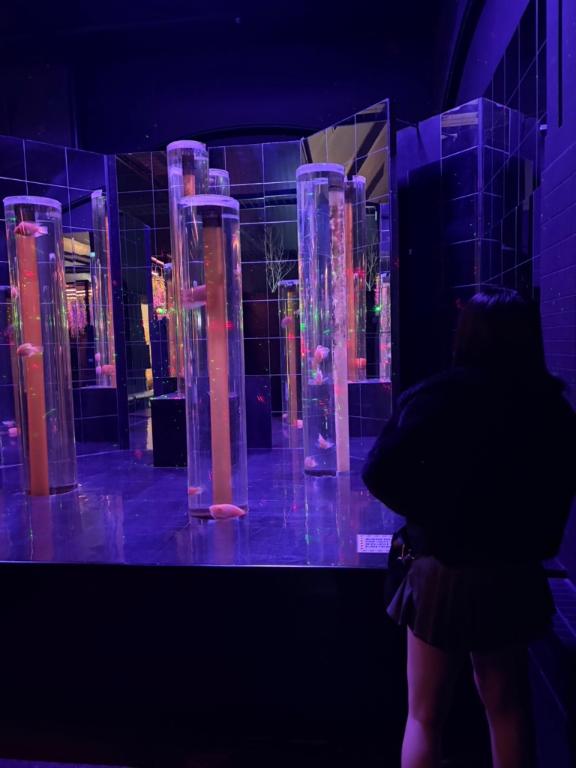 のん素敵な女の子は好きですか?