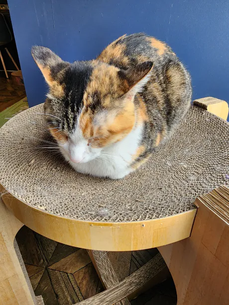 七瀬　梓Escort Club CLASSY