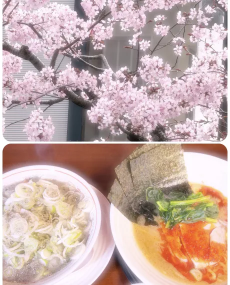 めぐアイドル八戸