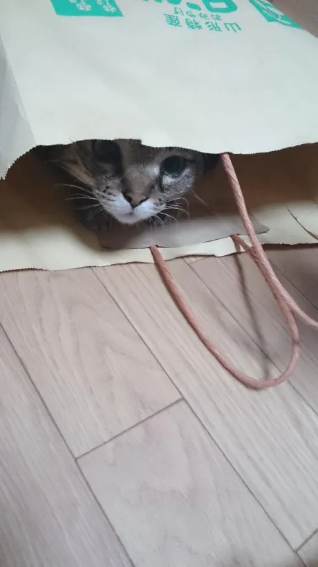 おはようございます|ω・)/まひろ　奥様