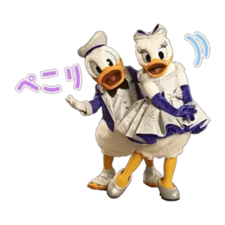8/6　自宅のかわいいお兄様/緊急入店マオリ(弘前)