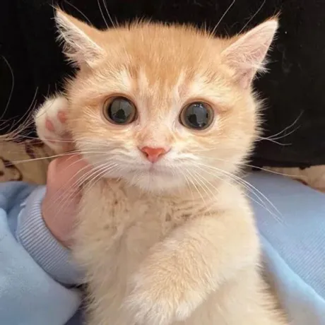 あのロイヤルクラブ