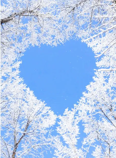 日付が変わってしまいましたが🌙/さな【弘前黒石大釈迦】