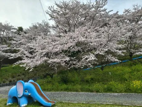 ありがとう/後藤(ごとう)