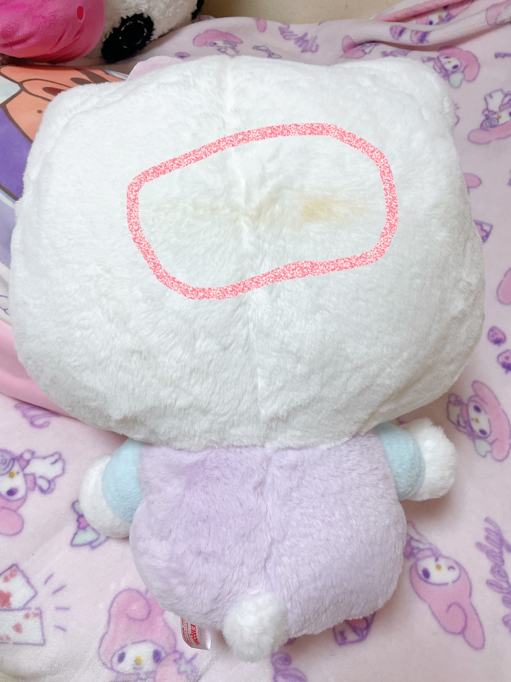 キティちゃんにアレ 🌱 が！Σ (´Д` ；)