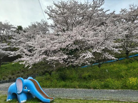 ありがとう/後藤(ごとう)