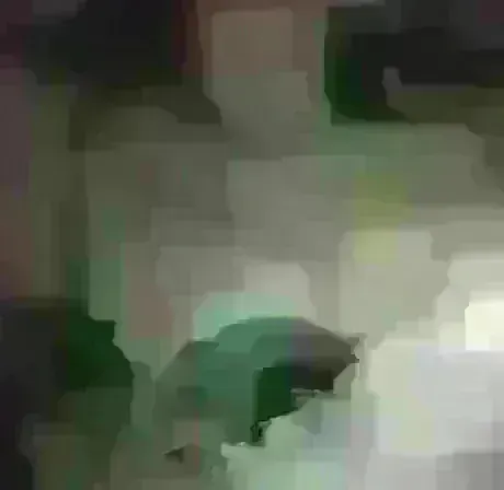 久しぶりだよ