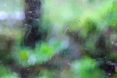 こんにちは！/久美子