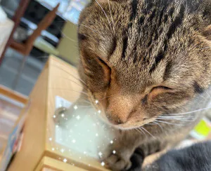 土曜日⭐︎/ゆきな 奥様
