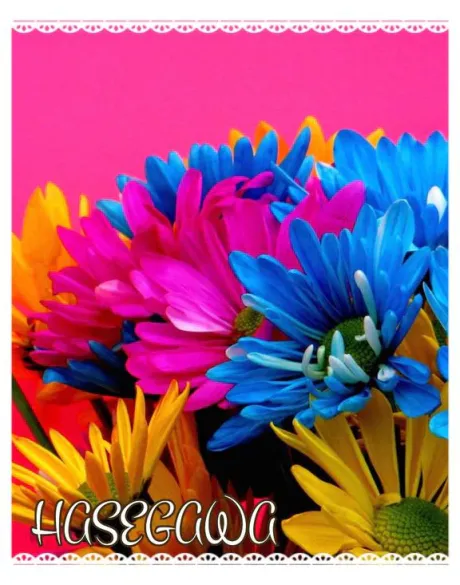 長谷川即プレイ専門店　変態人妻サークル　古川店