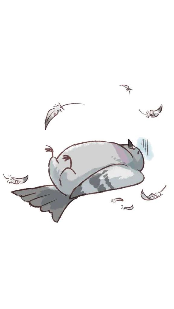 【アニマル診断】今日の運勢ランキング