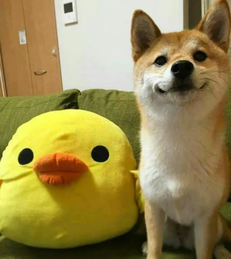 おはよう ( * ・ω・) ノ/なお