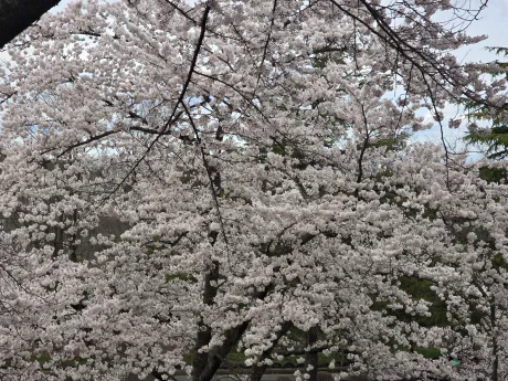 こんばんは🌙/矢島　茉奈香