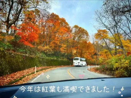 かえで愛 LAND-アイランド-