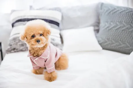 おはよう🐶/業界初まりん(弘前)