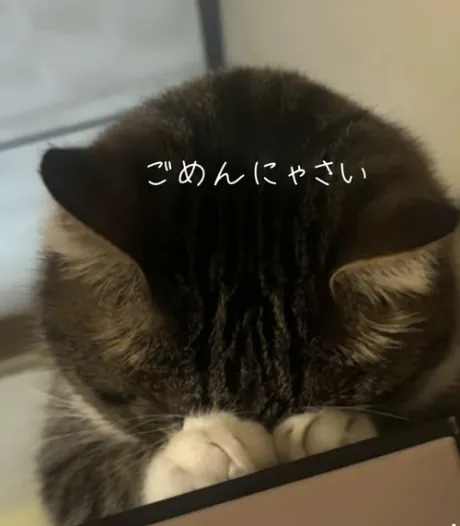 新人あおい【青森】のブログ おはようございます🙇‍♀️