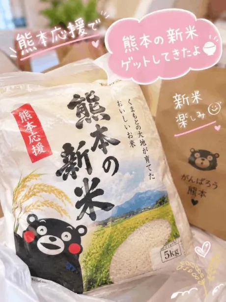 熊本応援🧸/琉衣（るい）