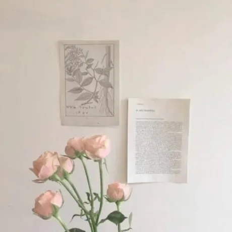 一華(いちか)のブログ H様へ