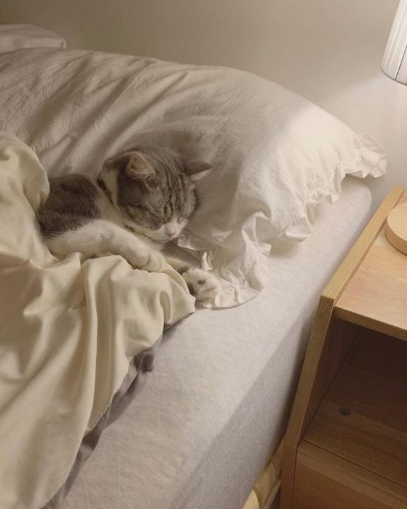 夢の中で☁️