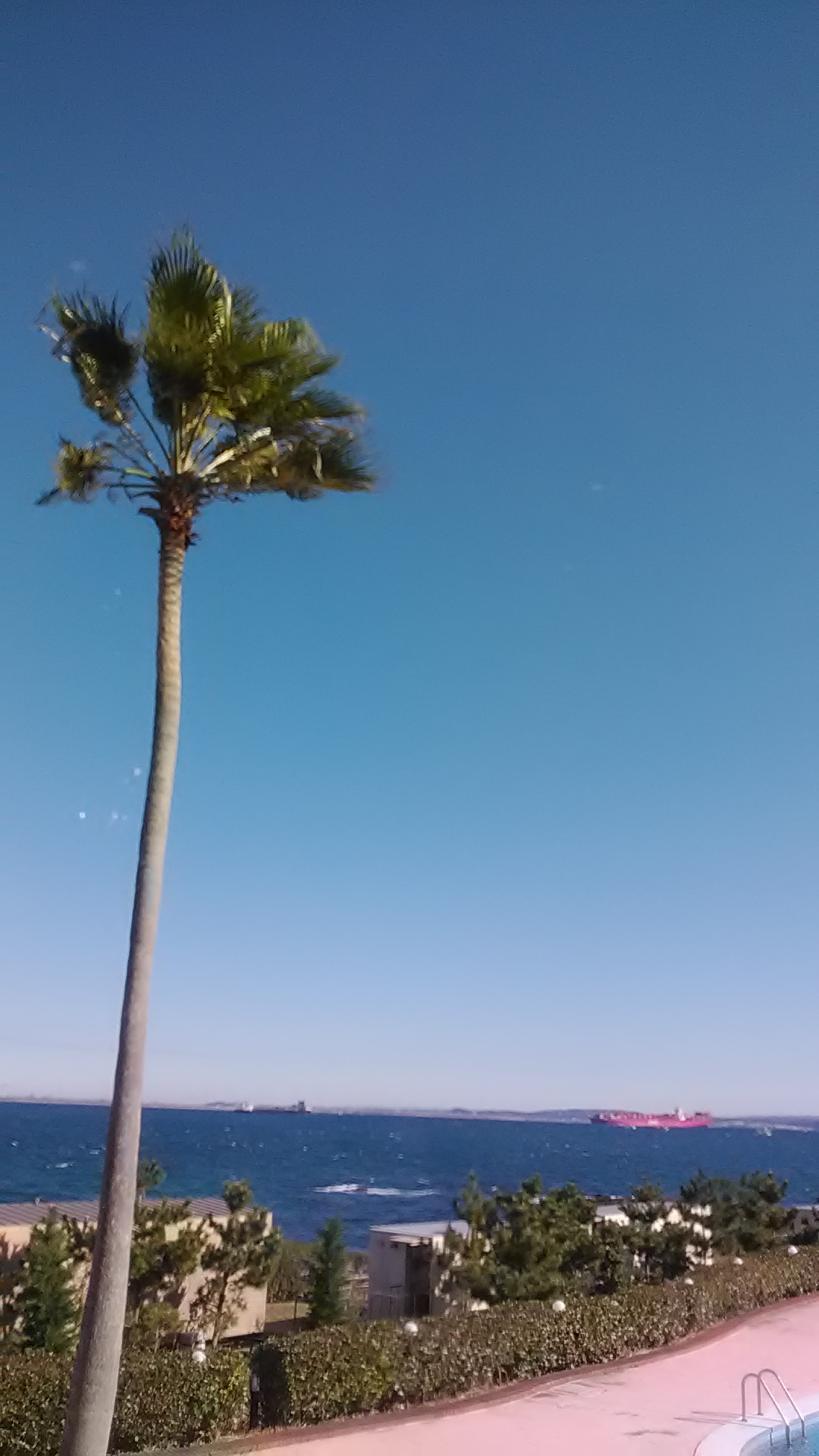 こんにちはです。