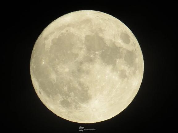 月が綺麗🌕