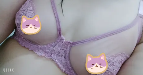 ネコ(=^_^=)の日/緊急入店マオリ(弘前)